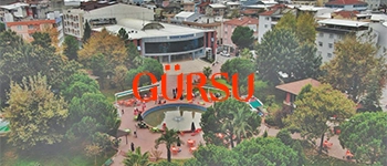 Gürsu Evden Eve Nakliyat